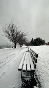 Snowy Kitsilano Beach